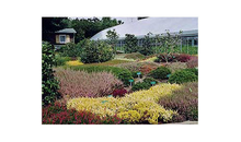 Kundenbild groß 1 Gartenbau Ernst Risse Inh. Reinhild Hellenberg