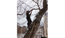 Kundenbild groß 1 Erler Jens Forstfachbetrieb