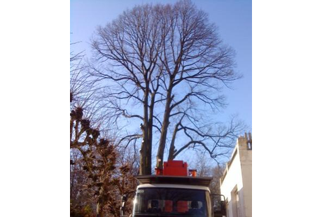 Bildergallerie Wilms Kreative Floristik Ratingen