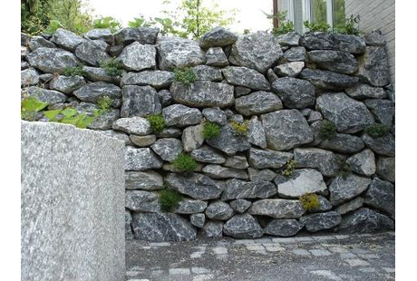 Eigentümer Bilder Wilms Kreative Floristik Ratingen