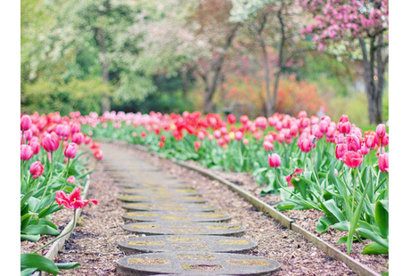 Bildergallerie Blumen Wilms Ratingen