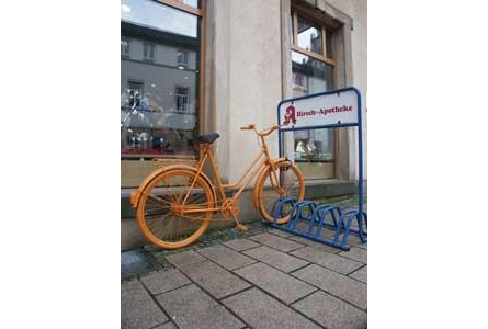 Bildergallerie Grüne Apotheke Neustadt