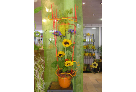 Eigentümer Bilder Blumen Max Inh. M. Kronberger Floristikshop Greding