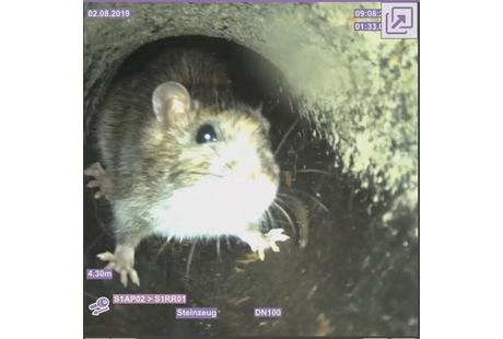 Bildergallerie HM Rohr & Kanalsanierung GmbH Rohr