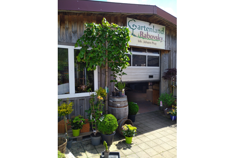 Bildergallerie Gartenland Rabovsky e.K. Neumarkt