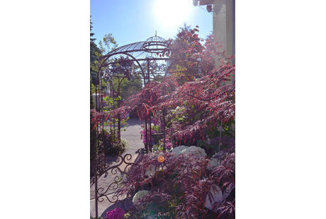 Eigentümer Bilder Popp 