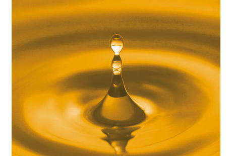 Bildergallerie Rödl GmbH Neumarkt