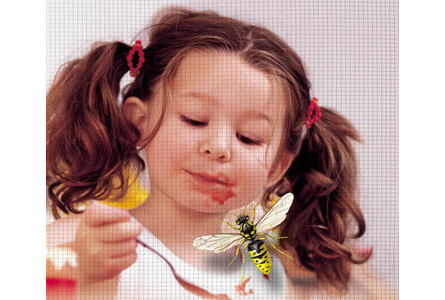 Eigentümer Bilder Zinner Christian Insektenschutzgitter Marktleuthen