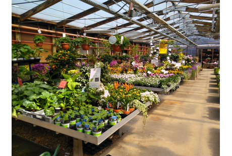 Bildergallerie Gartenland Rabovsky e.K. Neumarkt