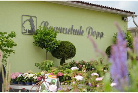 Eigentümer Bilder Popp 