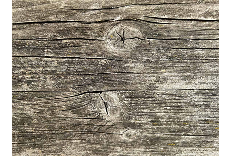 Eigentümer Bilder Schreinerei RUDOLF REUSS, Inh. Gisbert & Ralph Reuss GbR Bad Kissingen