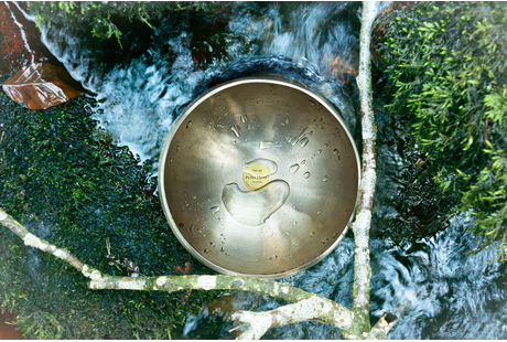 Bildergallerie Rainer Barbara Waldkirchen