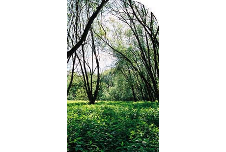 Bildergallerie Meilwald Apotheke Inh. Thomas Wagner Erlangen