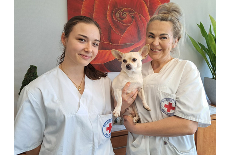 Bildergallerie Bayerisches Rotes Kreuz - Pflegestation Roding