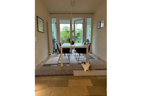 Eigentümer Bilder Hutter Markus Teppichweberei Tiefenbach