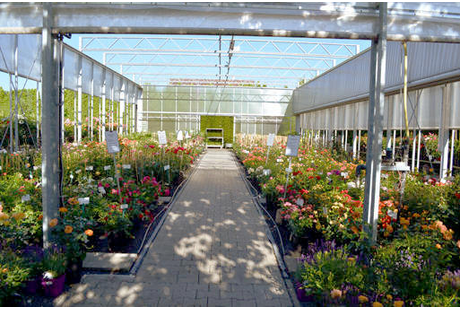 Eigentümer Bilder Popp 