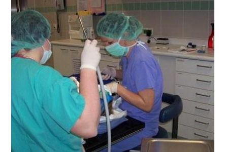 Eigentümer Bilder Petra Sitzmann Zahnärztin Rimpar