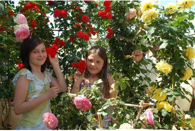 Eigentümer Bilder Inntal Gärtnerei Neuhaus