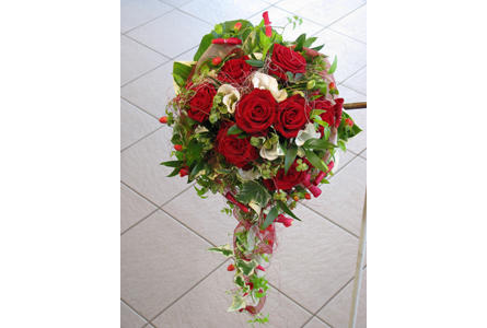 Bildergallerie Blumen Weber Schonungen