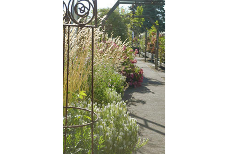 Eigentümer Bilder Popp 