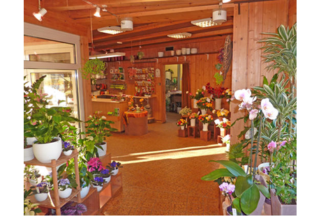Bildergallerie Rist Norbert Gärtnerei und Blumengeschäft Niedereschach