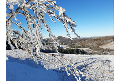 Bildergallerie Lohse Thomas Sport u. Leder Geising