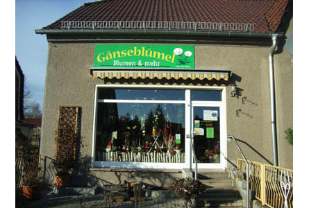 Bildergallerie Mühle Ute Gänseblümel Blumen u. mehr Rietschen