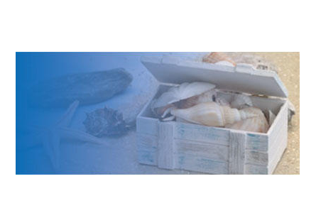 Bildergallerie Putzke Reiseagentur Pulsnitz