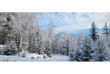 Eigentümer Bilder Lohse Thomas Sport u. Leder Geising