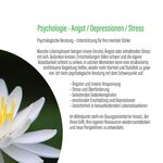 Bild 2 Kuntz in Schifferstadt