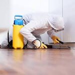 Bild 1 Kammerjäger Köller in Pfungstadt