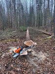 Bild 2 Naturschmiede Taunus - Janik Wolf & Arthur Unrau GbR in Weilrod