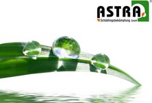 Bild 1 ASTRA Schädlingsbekämpfung GmbH in Mayen