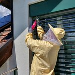 Bild 3 Kammerjäger Köller in Pfungstadt