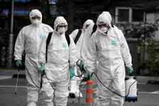 Bild 1 Kammerjäger Pech in Groß-Gerau