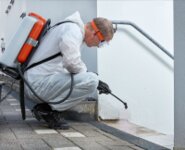 Bild 4 Kammerjäger Köller in Pfungstadt