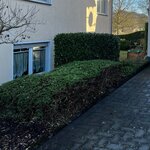 Bild 1 Eiden in Boppard