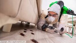 Bild 2 Kammerjäger Pfennig in Butzbach