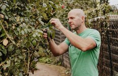 Bild 3 Gartenpflege Schott in Niddatal