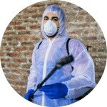 Bild 4 Kammerjäger Pech in Groß-Gerau