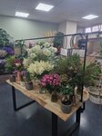 Bild 2 Blumen Özdemir Florist in Rüsselsheim am Main