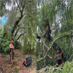 Bild 1 Naturschmiede Taunus - Janik Wolf & Arthur Unrau GbR in Weilrod