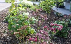 Bild 10 Gartenforum Balz GmbH in Westhofen