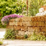 Bild 6 Gartenforum Balz GmbH in Westhofen