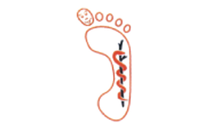 Kundenlogo von Podologie Ross