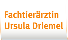 Kundenlogo von Driemel GmbH