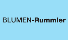 Kundenlogo von Blumen Rummler