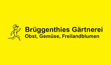 Kundenlogo von Brüggenthies KG Gemüsebau