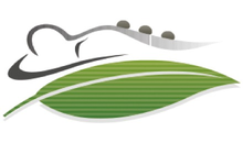 Kundenlogo von Physio Vita