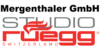 Kundenlogo von Mergenthaler GmbH Ofenbau + Rüegg Studio